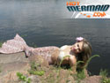 hotmermaid.com - Galerie