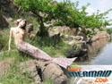 hotmermaid.com - Galerie