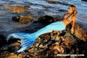 hotmermaid.com - Galerie