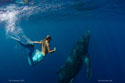 hotmermaid.com - Galerie