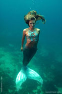 hotmermaid.com - Galerie