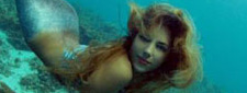 hormermaid.com - Galerie