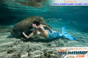 hotmermaid.com - Galerie