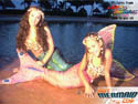 hotmermaid.com - Galerie