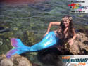 hotmermaid.com - Galerie