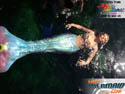 hotmermaid.com - Galerie